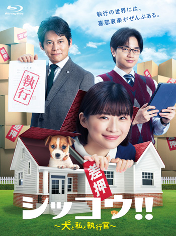 ドラマ『シッコウ!!～犬と私と執行官～』Blu-ray＆DVD BOX 2024年2月14