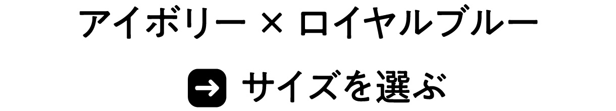 小沢健二｜東大900番講堂講義公式スワッグ注文所|グッズ