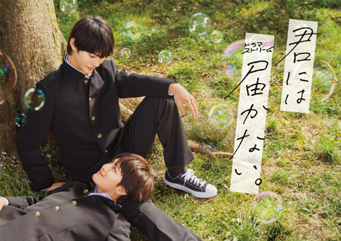 君には届かないDVD ちくわさんせんよう body_012115.jpeg