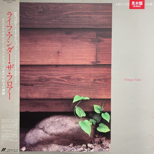 コピス吉祥寺】5/5(日) AMBIENT/AVANT-GARDE SALE|中古