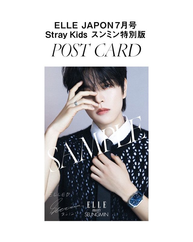 Stray Kids スンミンが表紙に登場『ELLE JAPON 2024年7月号増刊 Stray Kids スンミン特別版』5月28日発売《特典：複製サイン入り  オリジナルポストカード》|雑誌（情報）