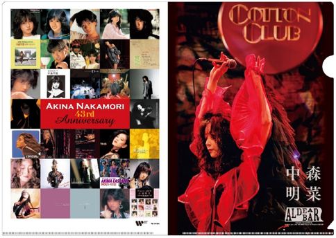 訳ありセール 格安） 中森明菜private（ステレオコンポ