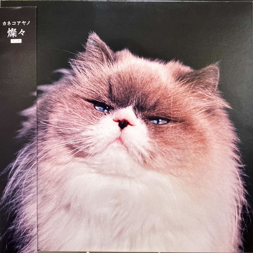 【新品】カネコアヤノ レコード カネコアヤノ 燦々 LPレコード 重量盤 アナログレコード(新品