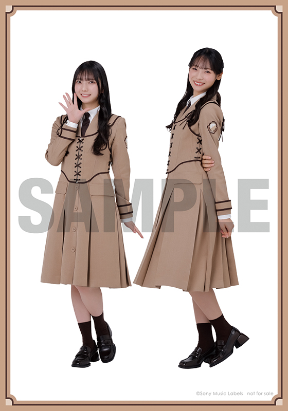 「日向坂46 」卒業写真だけが知ってる 抽選応募シリアルナンバー 20枚セット 日向坂46 13th シングル『卒業写真だけが知ってる』2025年1月29