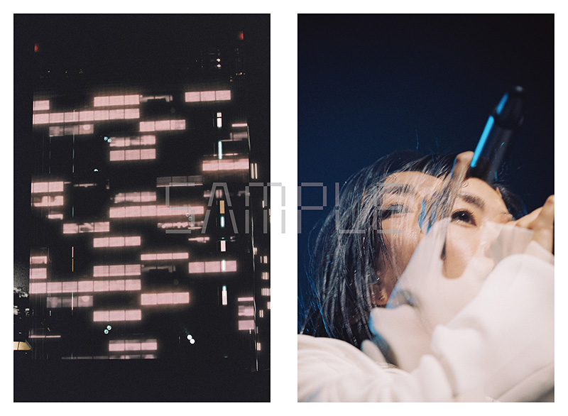 宇多田ヒカル ライブ写真集BOX『HIKARU UTADA SCIENCE FICTION