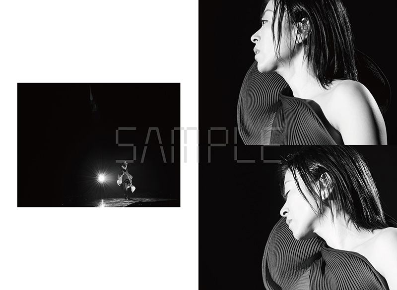 宇多田ヒカル ライブ写真集BOX『HIKARU UTADA SCIENCE FICTION
