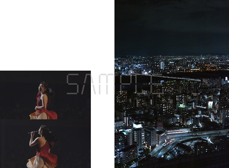 宇多田ヒカル 写真集 NINE STORIES BOX HIKARU UTADA SCIENCE FICTION TOUR 2024 NINE STORIES BOX
