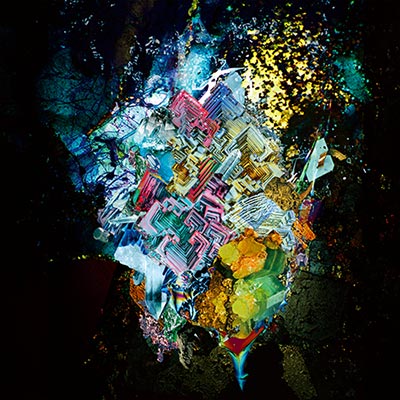 RADWIMPS メジャーデビュー20周年!アナログ盤 5ヶ月連続 RADWIMPS メジャーデビュー20周年!アナログ盤 5ヶ月連続