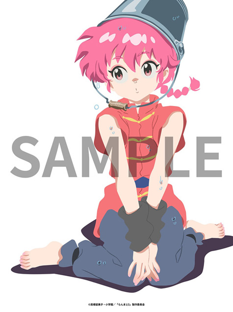 小学館 - プル様　らんま1/2全巻セット　新装版　アニメ化 小学館 - プル様 らんま1/2全巻セット 新装版 アニメ化 らんま1