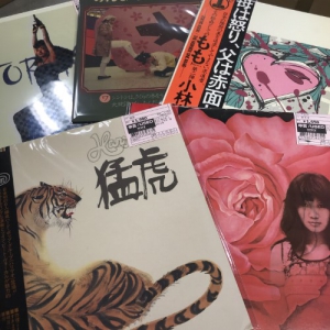 国内盤　TELEVISION 盤極美品 水木一郎/堀江美都子/こおろぎ'73他「超電磁マシーン ボルテスV