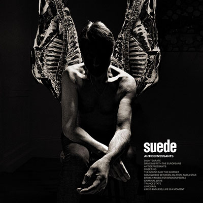 新品未開封 Suede 1991-1993 写真集 スウェード