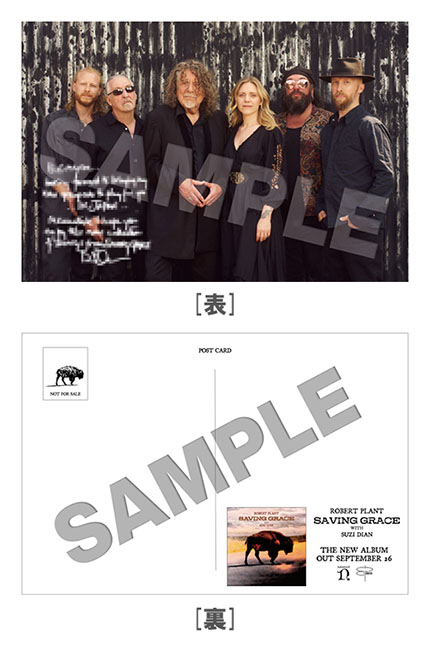 【プロモオンリー！】ロバート・プラント/Little By Little Saving Grace : Robert Plant | HMV&BOOKS online - WPCR-18792