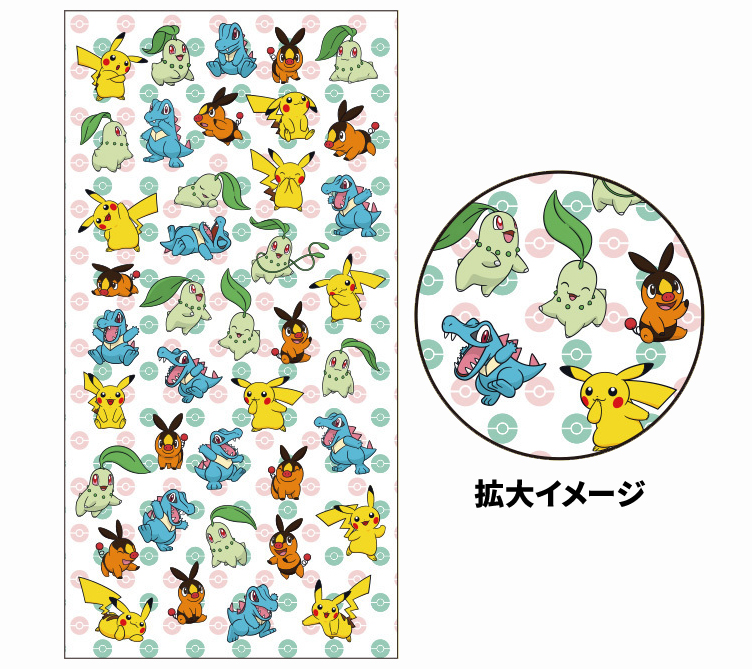 シリーズ最新作『Pokemon LEGENDS Z-A』2025年10月16日(木)発売