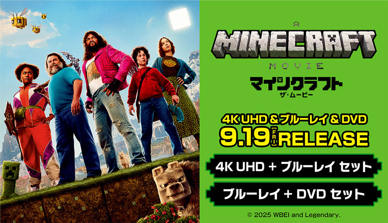 【2025年映画公開予定】マインクラフト 小説11冊セット　定価16000円以上 2025年映画公開予定】マインクラフト 小説11冊セット 以上