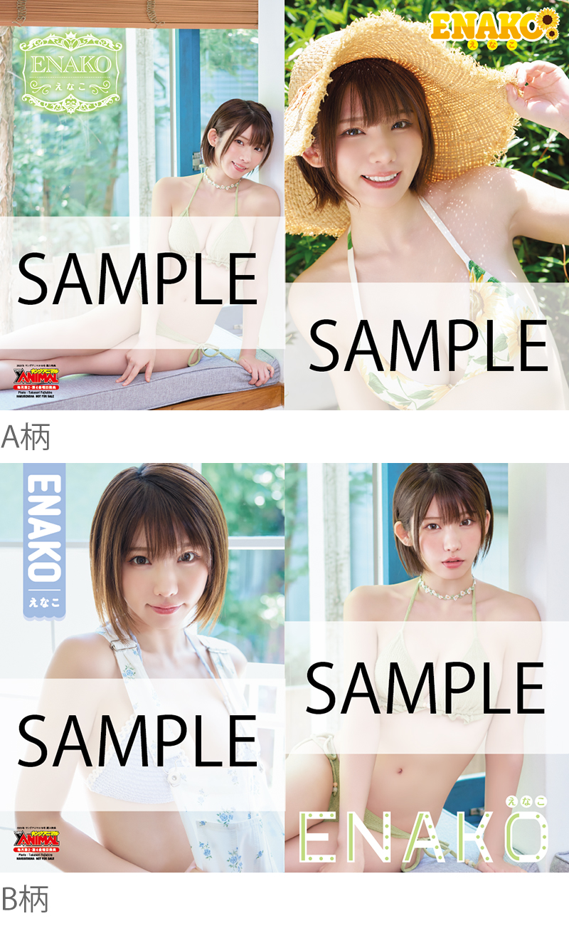 えなこ　クリアファイル ローソン・HMV限定特典：えなこ クリアファイル》漫画アクション