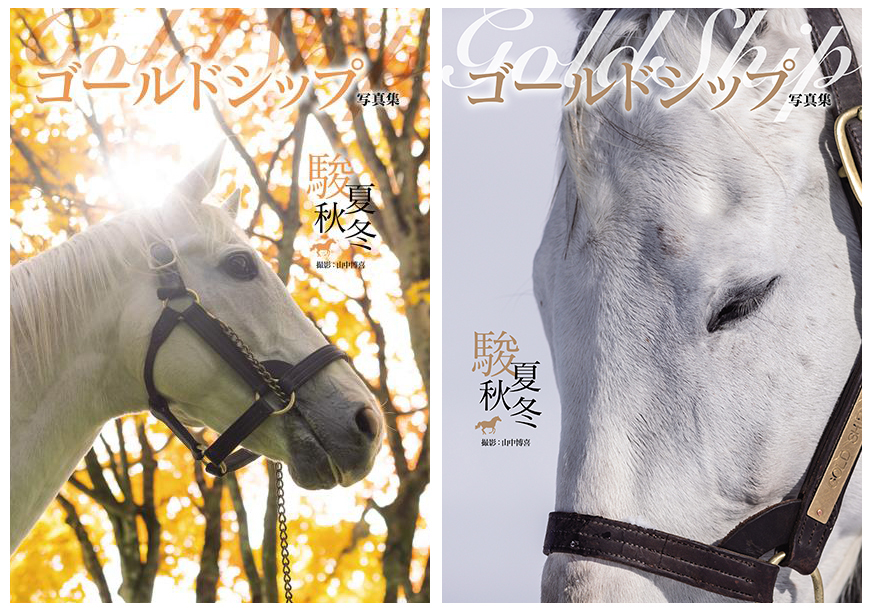 優駿 ゴールドシップ 写真集&DVD 特別編集 永久保存版 新品 優駿特別編集・永久保存版】ゴールドシップ 写真集＆DVD黄金の帆
