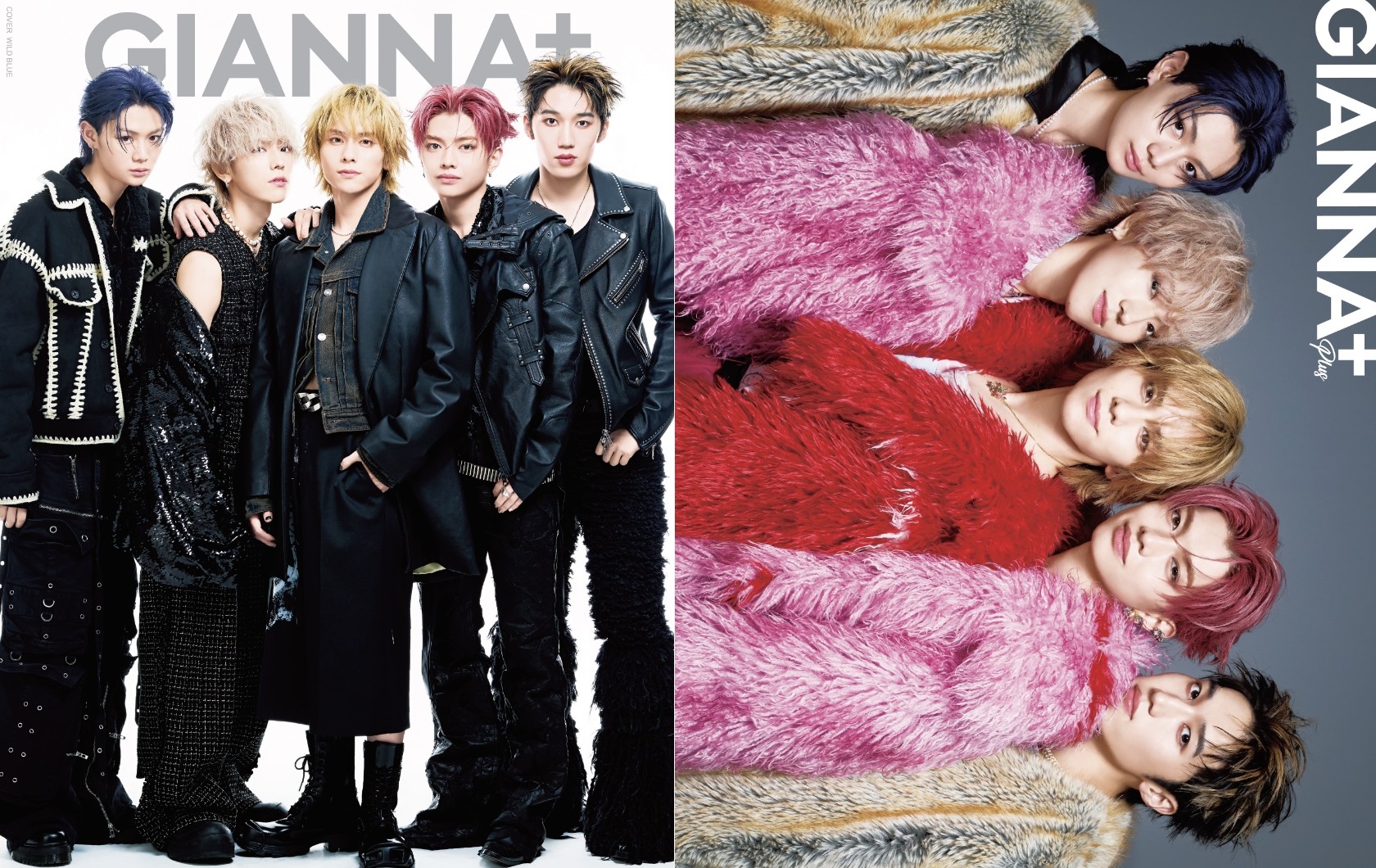 GIANNA BOYFRIEND+ 応募券15枚セット　WILD BLUE GIANNA BOYFRIEND+ 応募券15枚セット WILD BLUE GIANNA