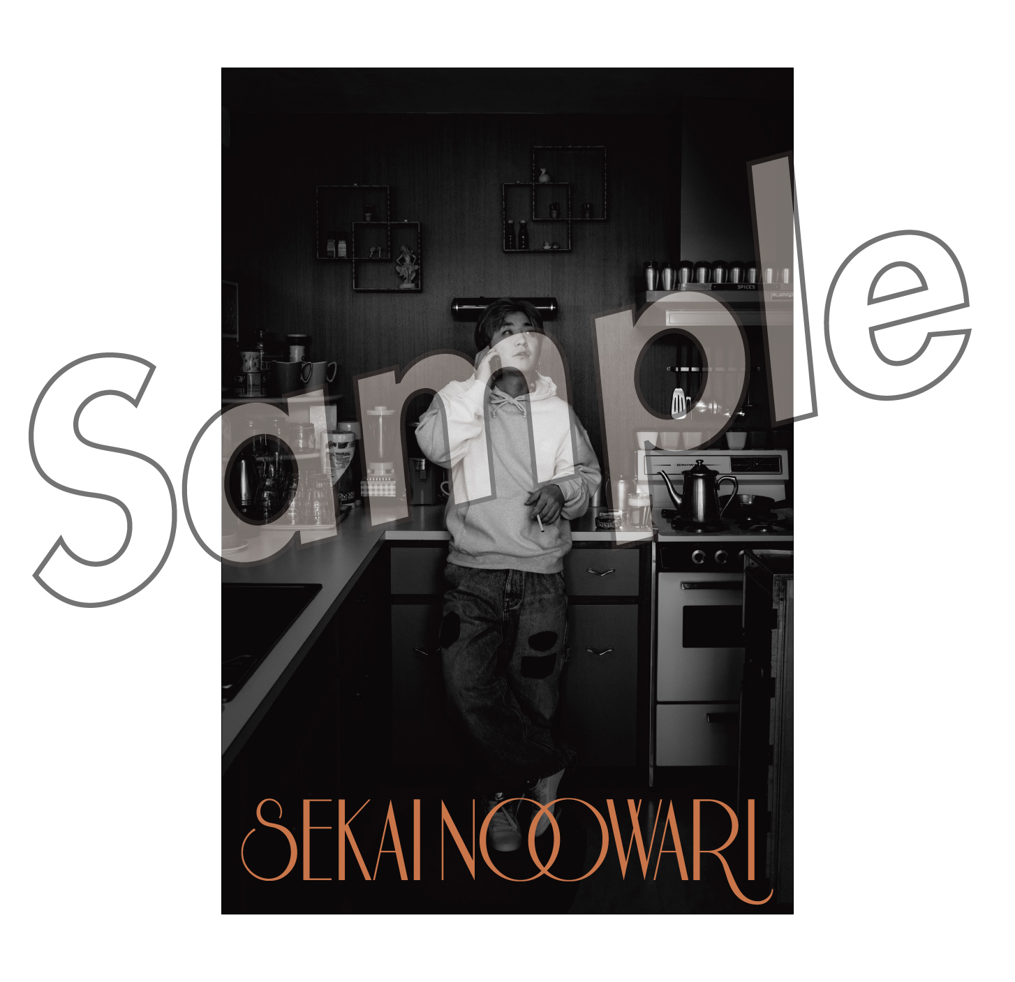 図鑑／琥珀【初回限定盤B】(CD+DVD) : SEKAI NO OWARI | HMV&BOOKS