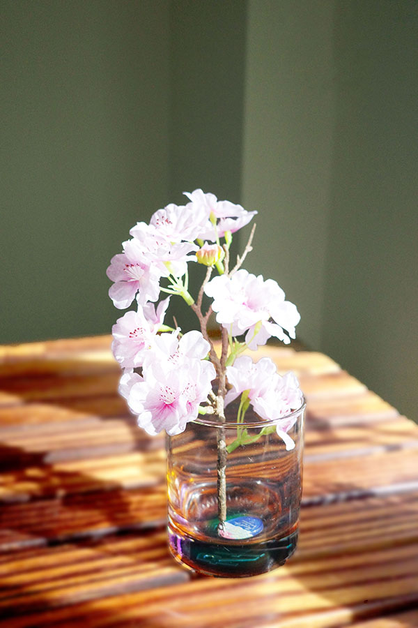 サザンオールスターズ 最新 Blu-ray＆DVD『LIVE TOUR 2025