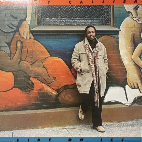 コピス吉祥寺】8/24(日) 本日の中古新入荷【SOUL】|中古