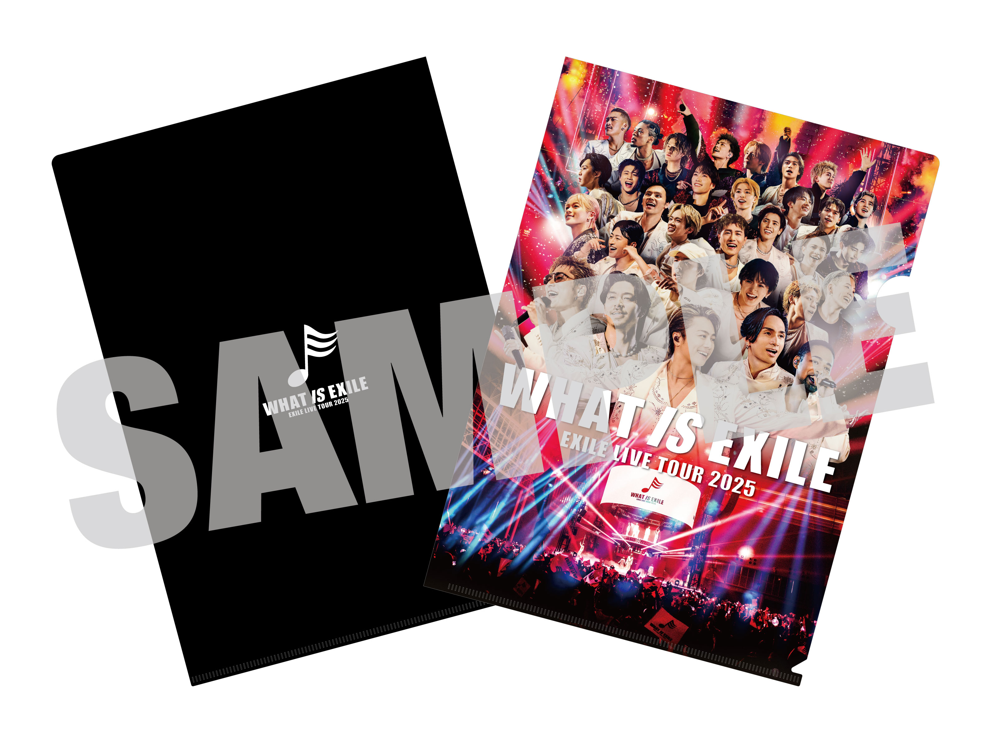 EXILE LIVE TOUR 2025 ”WHAT IS EXILE” (2DVD) : EXILE | HMV&BOOKS