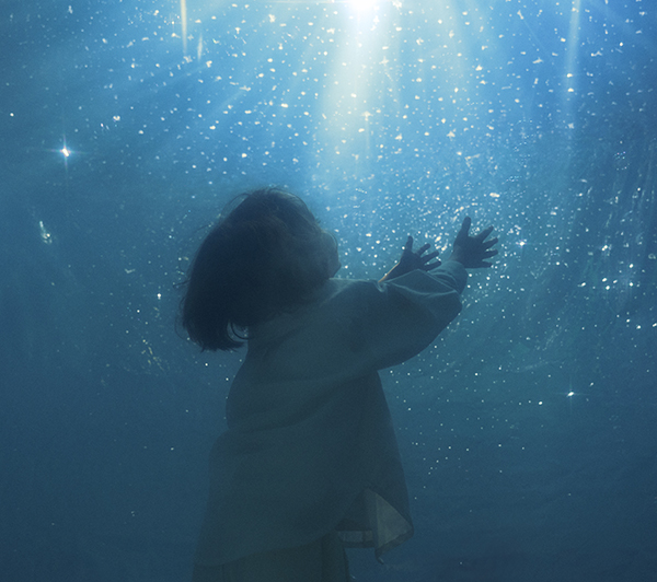 Aqua Timez 再結成後初のフルアルバム『海いっぱいに降りしきる星