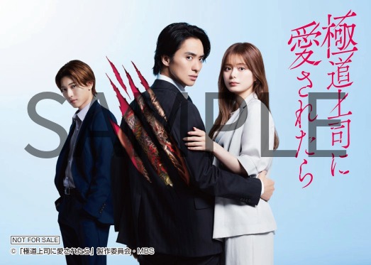 ドラマイズム『極道上司に愛されたら』Blu-ray＆DVD-BOX 2026年3月11日