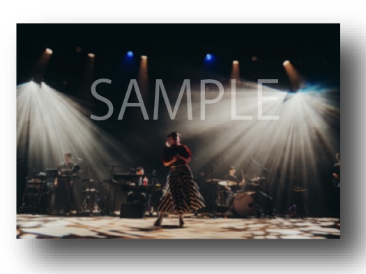大原櫻子 最新ライブBlu-ray＆DVD 「TOUR 2025 “Trip To rakko