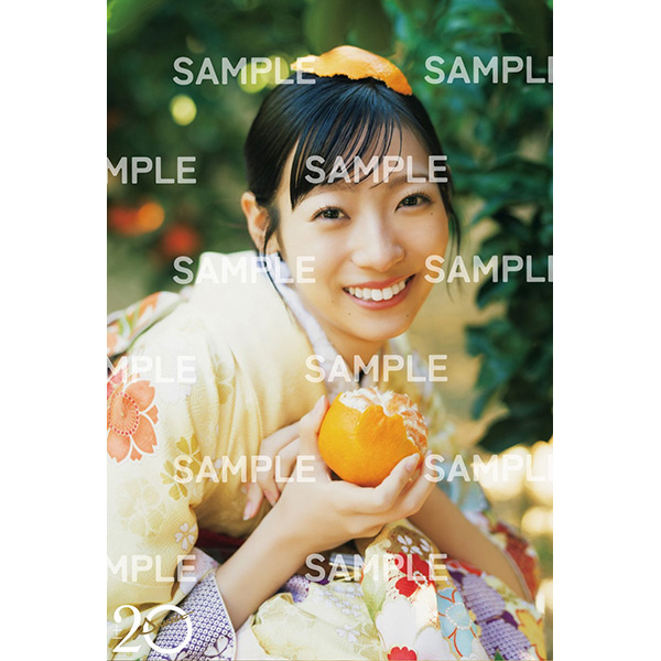 SWEET SEASON〈4枚組〉 SWEET STEADY｜SWEET STEADY OFFICIAL FANCLUB