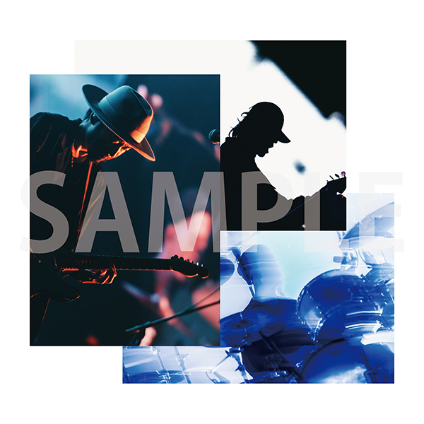 ACIDMAN 最新ライブBlu-ray『This is ACIDMAN 2025 in 日本武道館