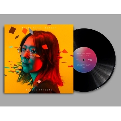 Your Favorite Thing柴田聡子レコード、カセットいじわる全集 いじわる全集(2LP)/SATOKO SHIBATA/柴田聡子/ほぼ全編弾き語りによる