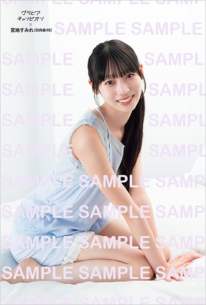 グラビアチャンピオンVOL.12【表紙：正源司 陽子（日向坂46）】［AKITA