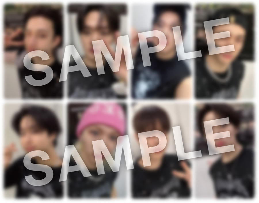 Stray Kids LIVE Blu-ray『Stray Kids World Tour ＜dominATE JAPAN
