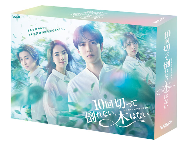 ドラマ『10回切って倒れない木はない』Blu-ray＆DVD BOX 2026年12月9日