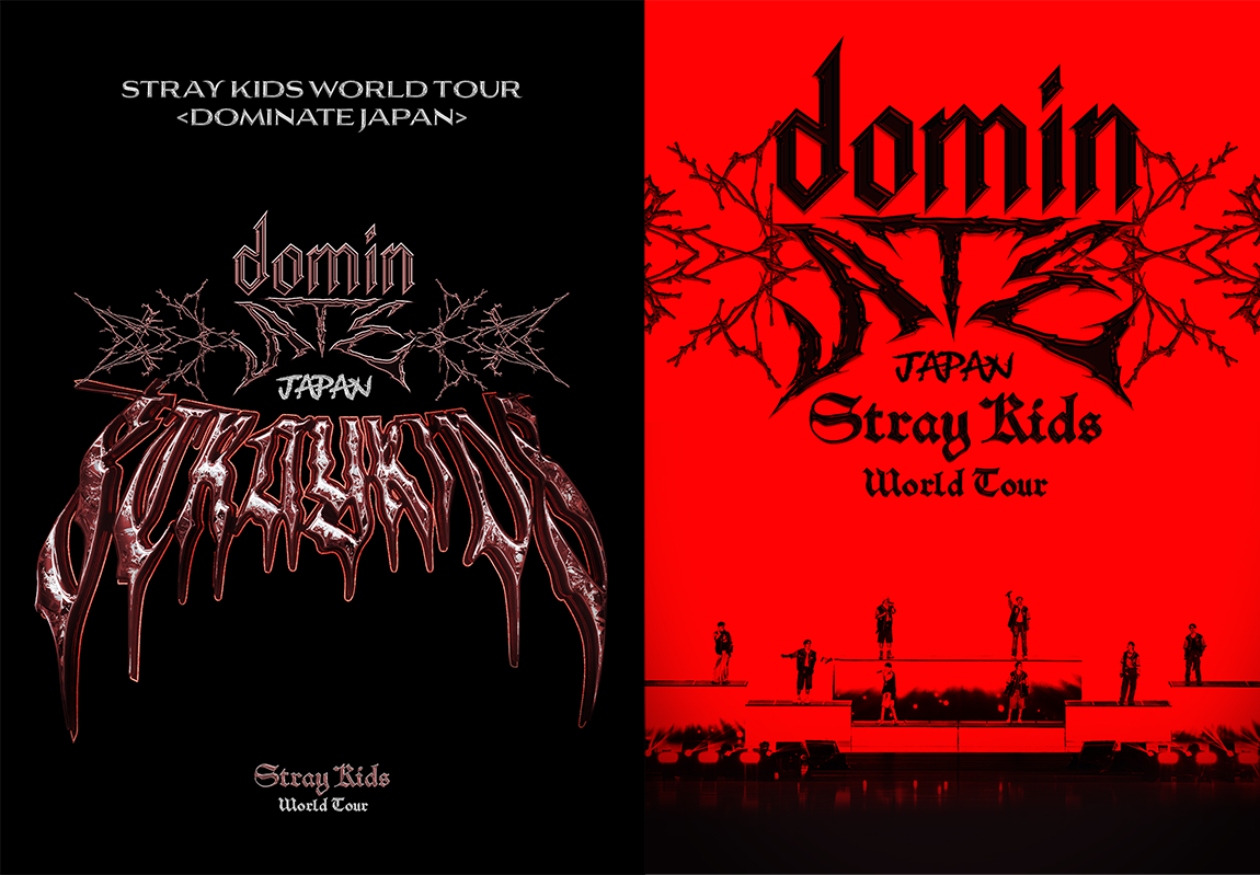 Stray Kids LIVE Blu-ray 『Stray Kids World Tour ＜dominATE JAPAN