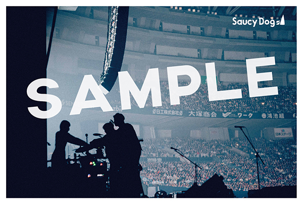 Saucy Dog 最新ライブBlu-ray＆DVD 『Saucy Dog DOME LIVE 2026 「A