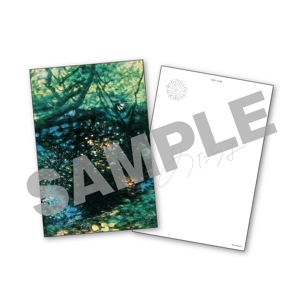 私雨に夏の灯を知る (CD+Blu-ray) : あたらよ | HMV&BOOKS online
