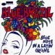 Blue Brazil