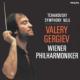 Sym, 5, : Gergiev / Vpo