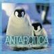 ANTARCTICA NHK�e���r����50�N��Ƀv���W�F�N�g