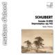 Piano Sonata.20, Impromptus D.935: Planes