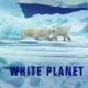 White Planet