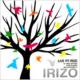Irizo Live ! At Womb