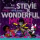 Stevie Is Wonderful.More!