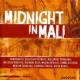 Midnight In Mali: }y̗[