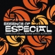 Essence Of Especial: Compiledby Especial Records & Kyoto Jazz Massive