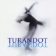 Turandot Figure Skate Music