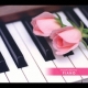 Mozart Beloved Piano