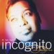 The Best Of Incognito