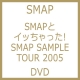Smap To Iccyatta! Smap Sample Tour 2005